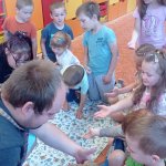 phoca_thumb_m_agamy krlk zajci 56 Fotogalerie